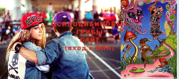 ПСИЛОЦИБИНОВЫЕ ГРИБЫ Саяногорск