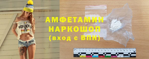 амф Снежногорск
