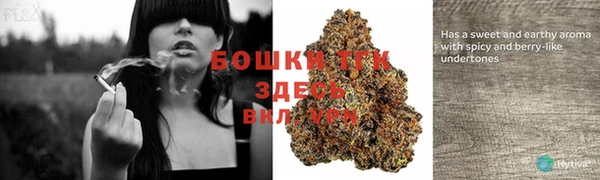 прущая мука Рославль