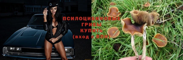 ешки Россошь