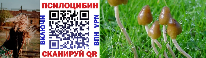 Псилоцибиновые грибы Magic Shrooms  Купить  Чулым 